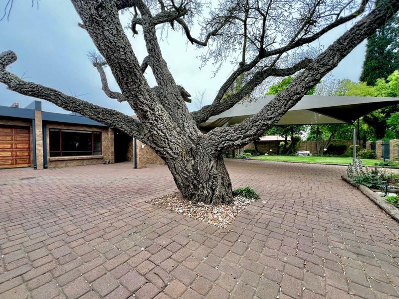 House For Sale in Ermelo Central - Photo 2