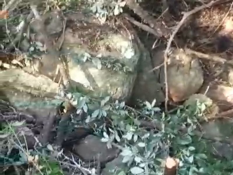 Vacant Land Residential For Sale in Palm Beach - Photo 10