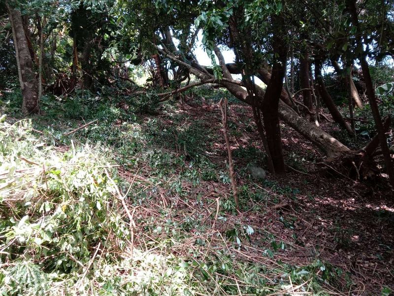 Vacant Land Residential For Sale in Palm Beach - Photo 9