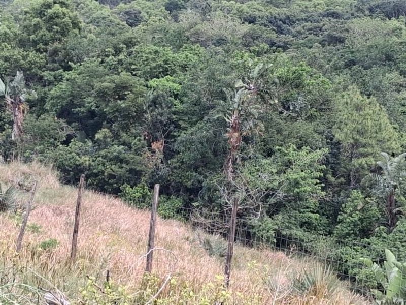 Vacant Land Residential For Sale in Palm Beach - Photo 2