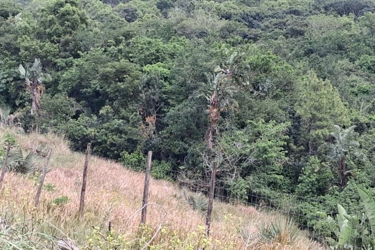 Vacant Land Residential For Sale in Palm Beach - Photo 2