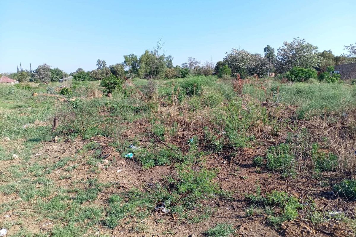 Vacant Land Residential For Sale in Christiana Central - Photo 4