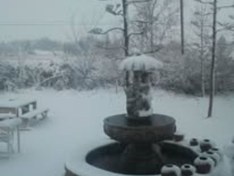 House For Sale in Wakkerstroom Central - Photo 3