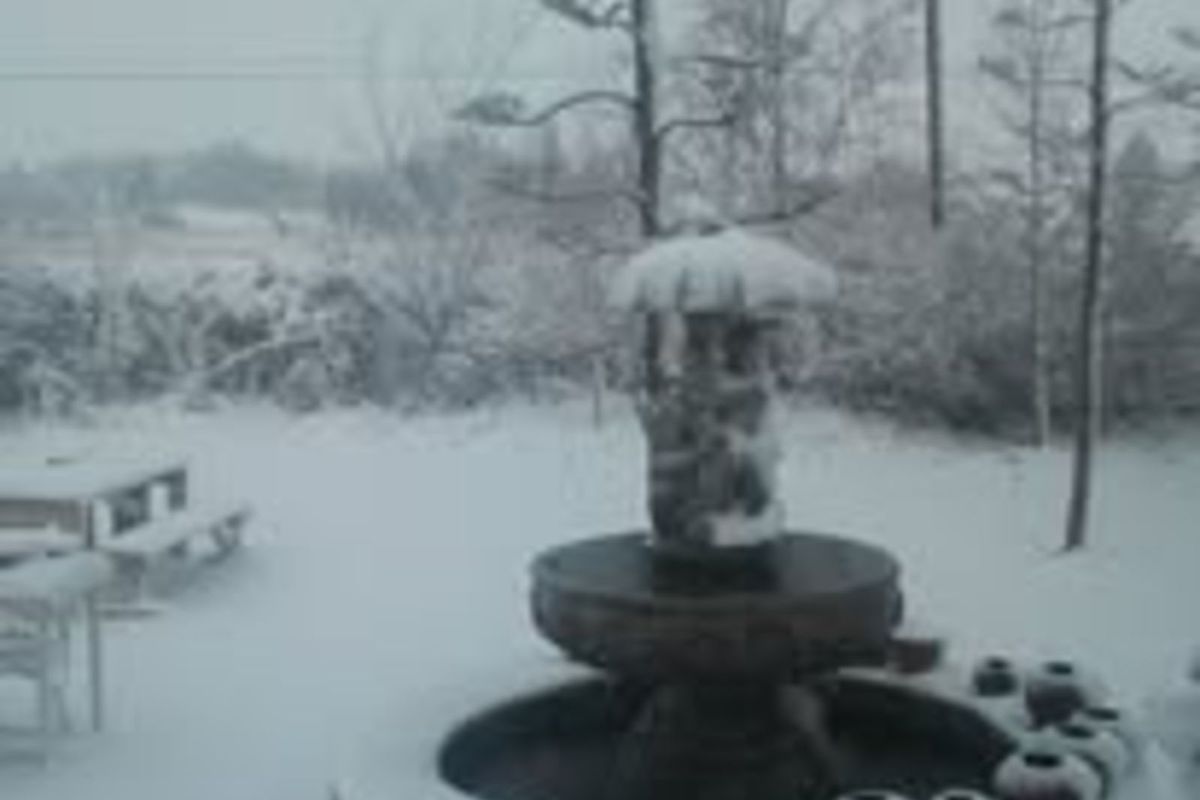 House For Sale in Wakkerstroom Central - Photo 3