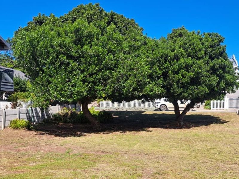 Vacant Land Residential For Sale in Tergniet - Photo 9