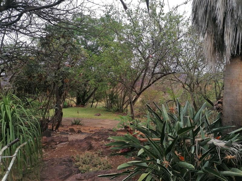 Farm For Sale in Bela Bela Central - Photo 4