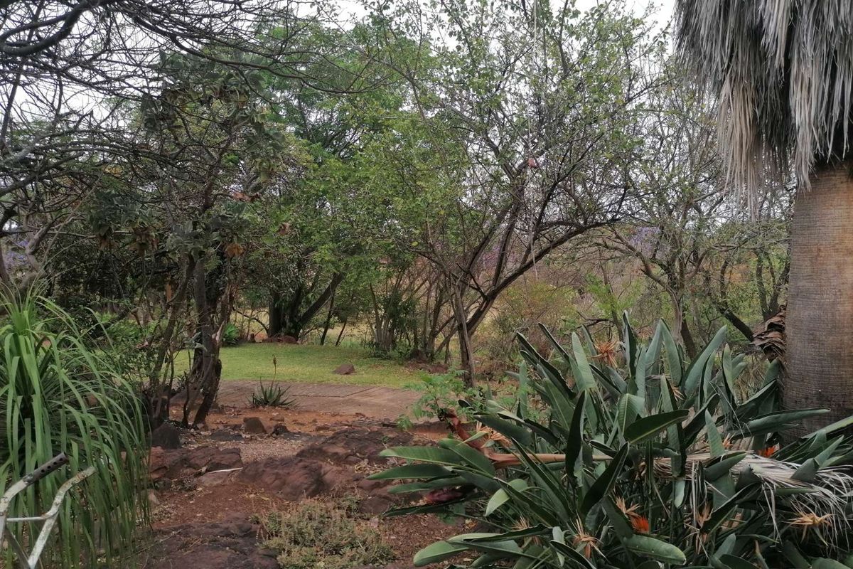 Farm For Sale in Bela Bela Central - Photo 4