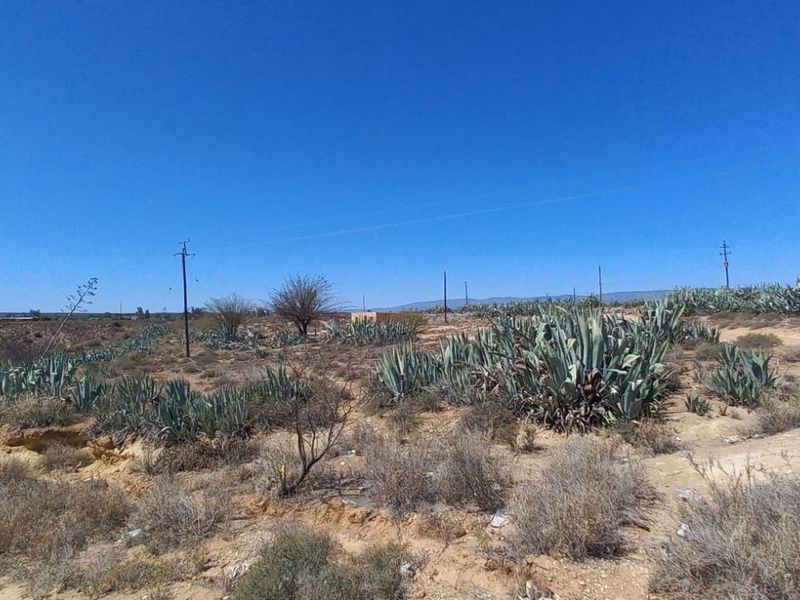 Farm For Sale in Calitzdorp Rural - Photo 5