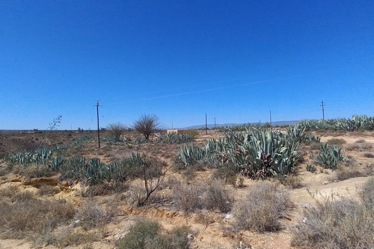 Farm For Sale in Calitzdorp Rural - Photo 5