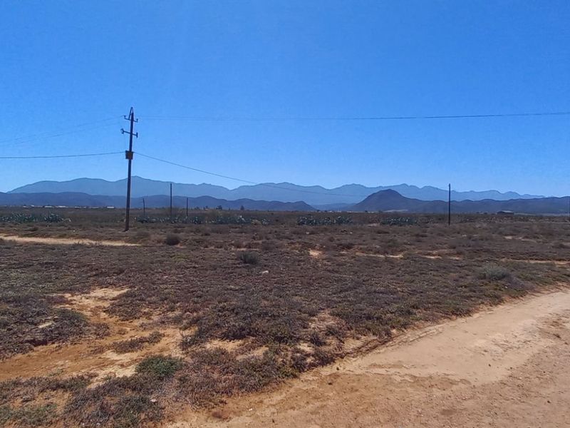 Farm For Sale in Calitzdorp Rural - Photo 3