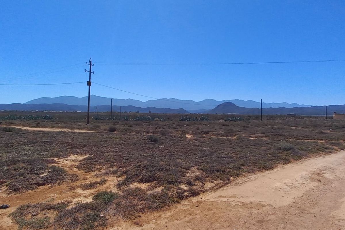 Farm For Sale in Calitzdorp Rural - Photo 3