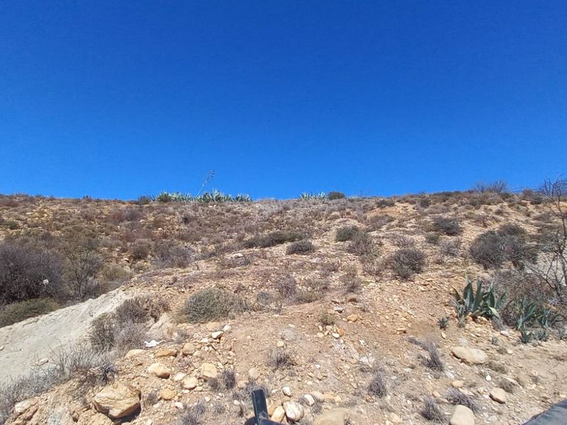 Farm For Sale in Calitzdorp Rural - Photo 6