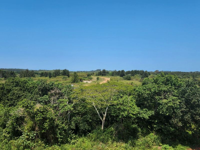 House For Sale in Sheffield Manor - Photo 5