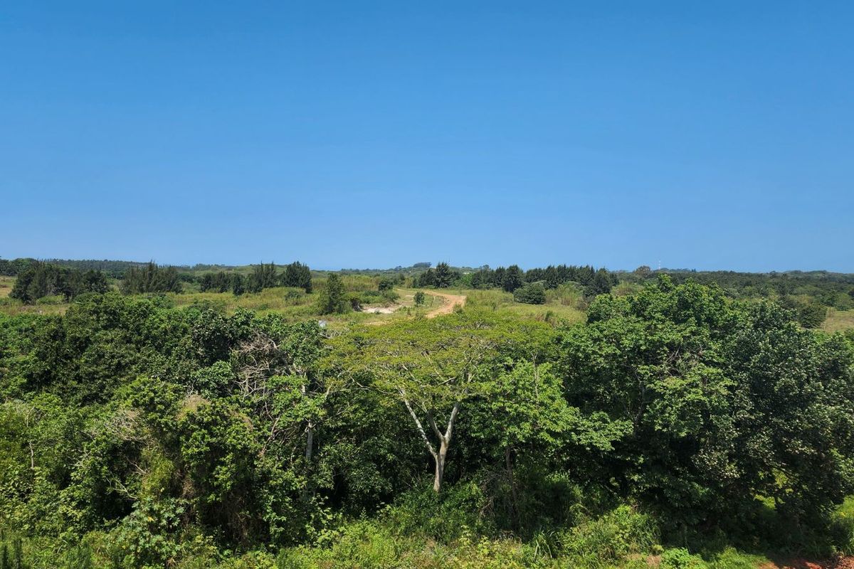 House For Sale in Sheffield Manor - Photo 5