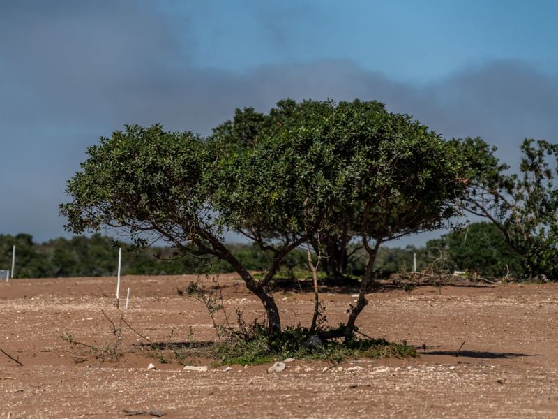 House For Sale in Stilbaai Wes - Photo 10