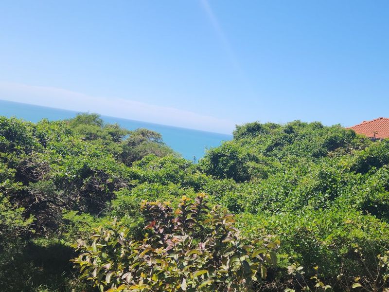 Vacant Land Residential For Sale in Cintsa West - Photo 5