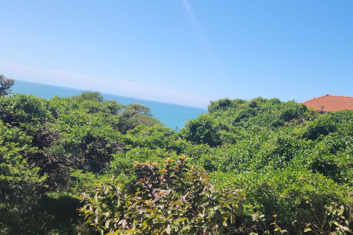 Vacant Land Residential For Sale in Cintsa West - Photo 5