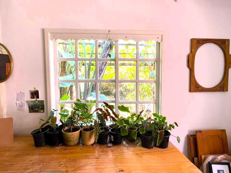 House For Sale in The Village - Photo 10