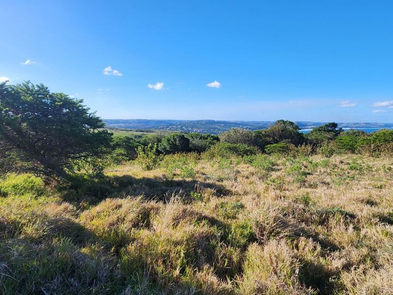 Vacant Land Residential For Sale in Khamanga Bay - Photo 7