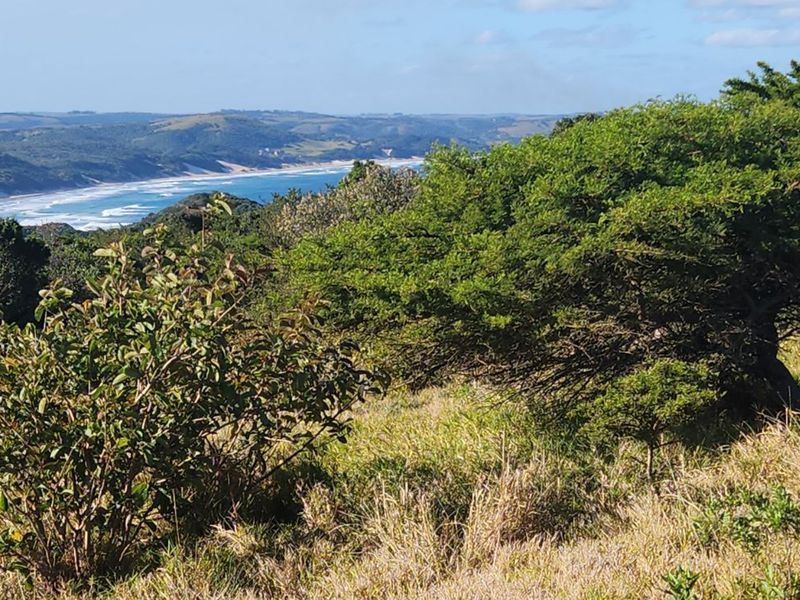 Vacant Land Residential For Sale in Khamanga Bay - Photo 5