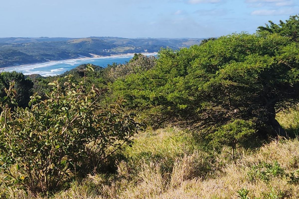 Vacant Land Residential For Sale in Khamanga Bay - Photo 5