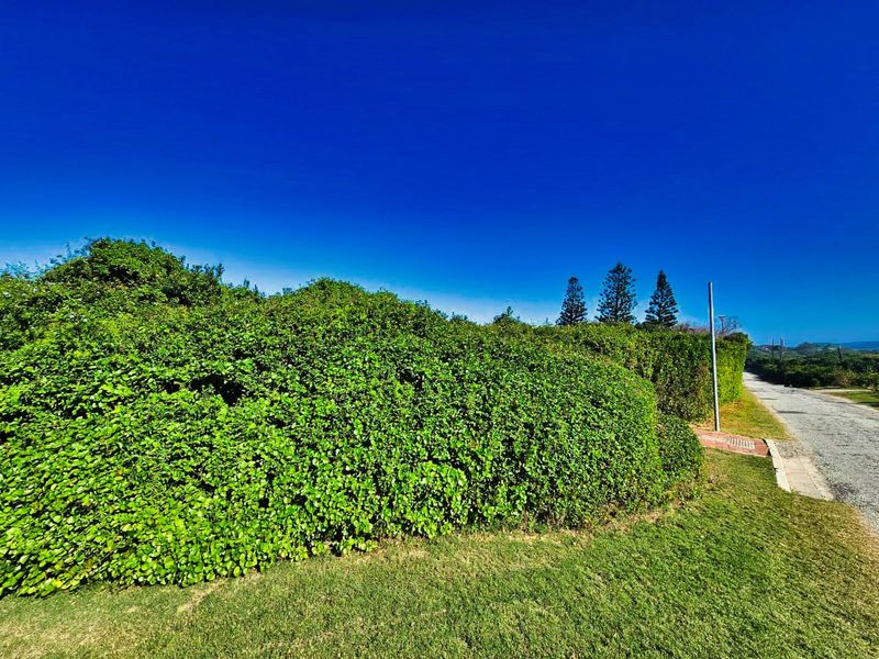 Vacant Land Residential For Sale in Wilderness Central - Photo 2