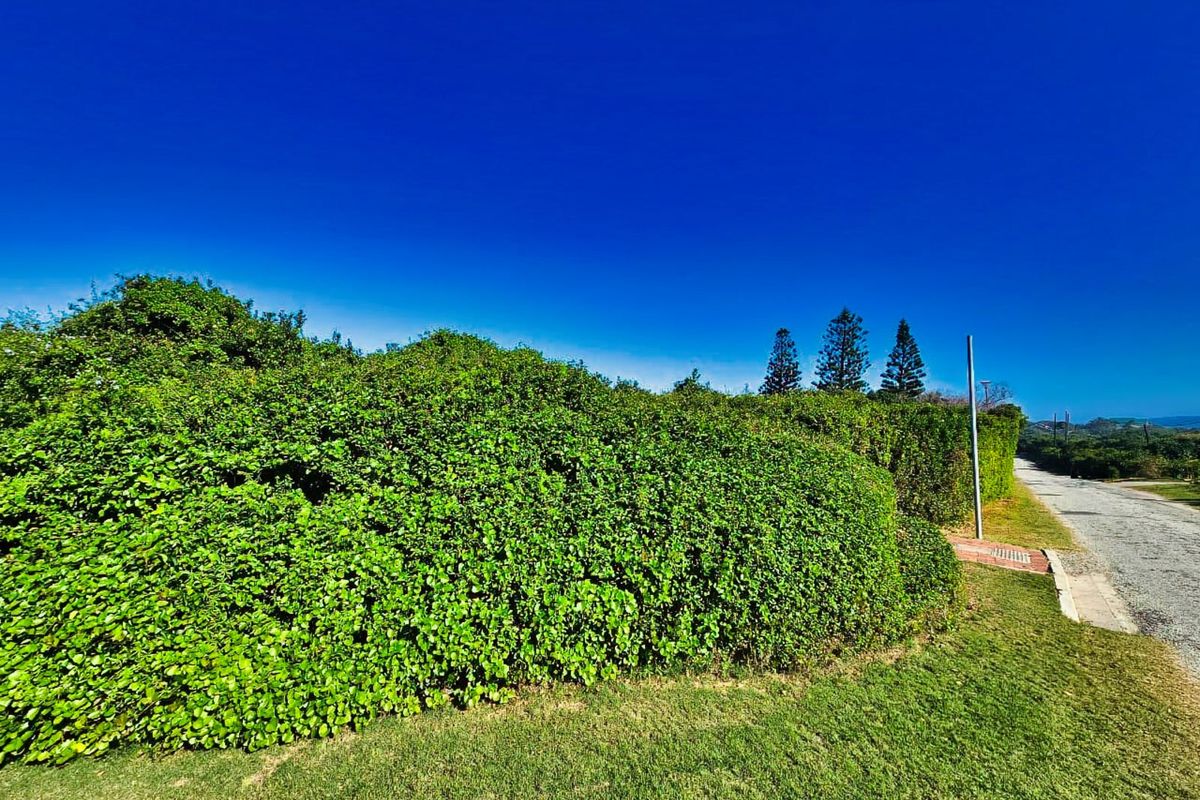 Vacant Land Residential For Sale in Wilderness Central - Photo 2