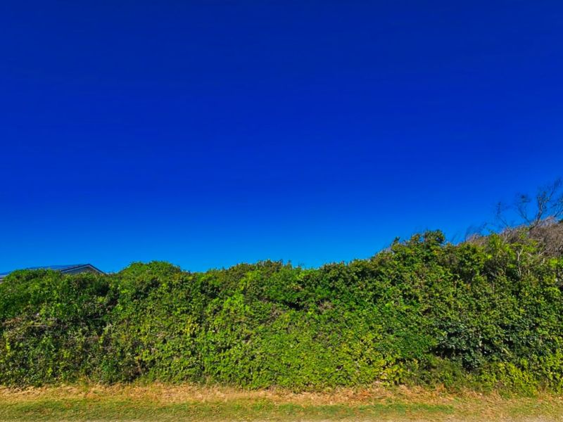 Vacant Land Residential For Sale in Wilderness Central - Photo 3