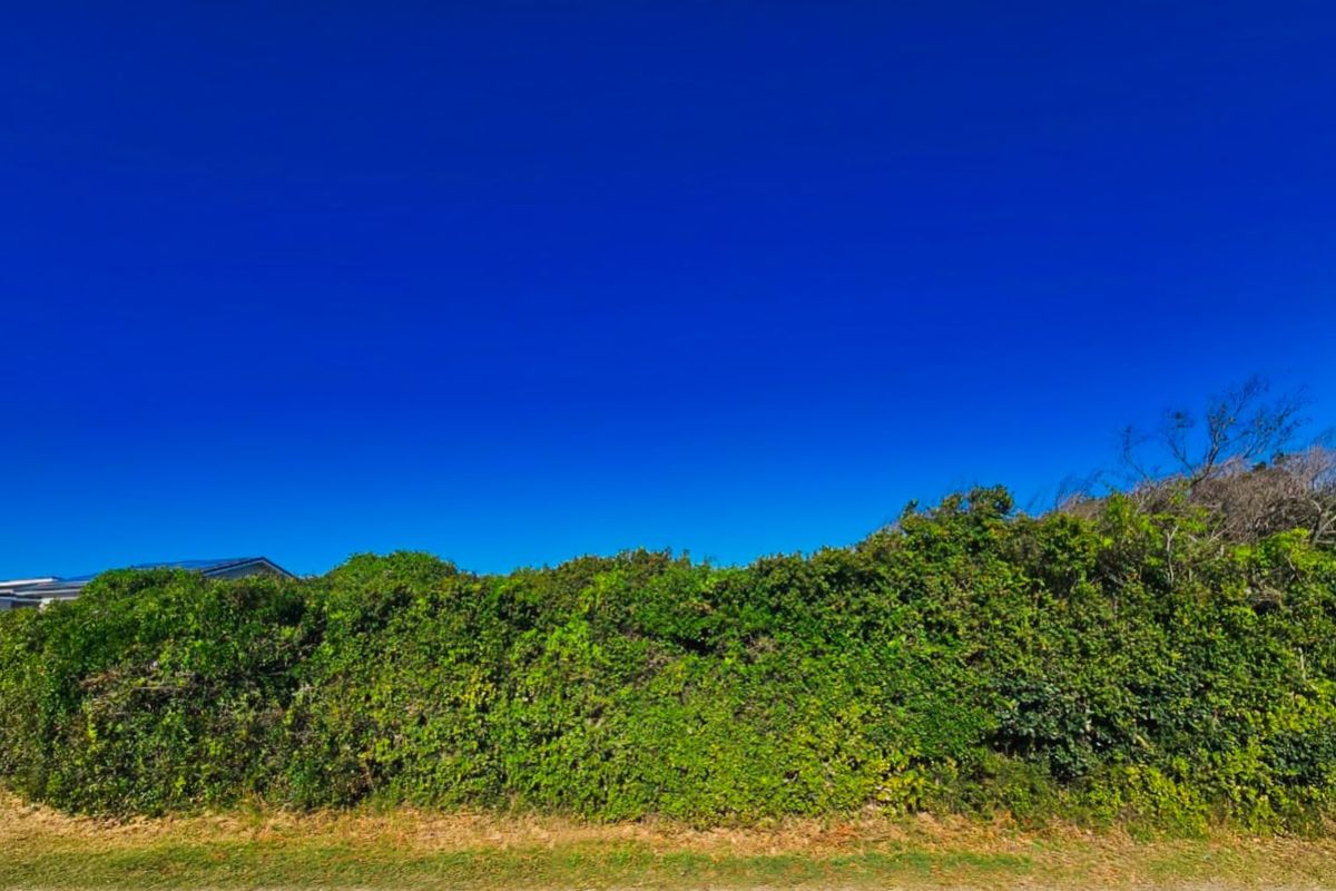 Vacant Land Residential For Sale in Wilderness Central - Photo 3