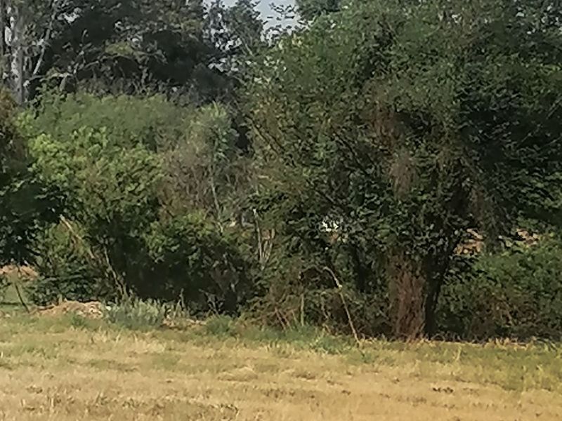 Business For Sale in Modimolle Central - Photo 7