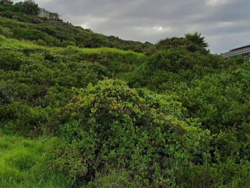 Vacant Land Residential For Sale in Dana Bay - Photo 2