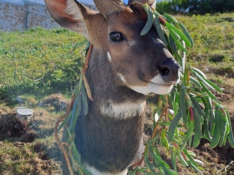 Vacant Land Residential For Sale in Dana Bay - Photo 8