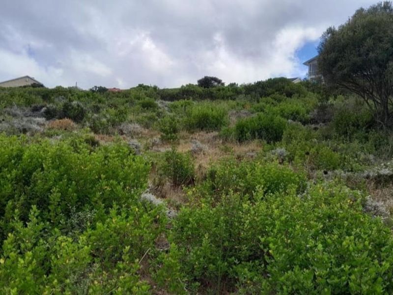 Vacant Land Residential For Sale in Dana Bay - Photo 2