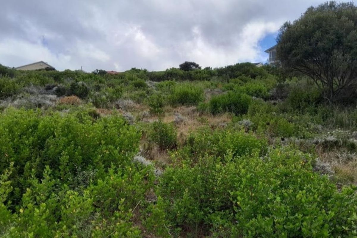 Vacant Land Residential For Sale in Dana Bay - Photo 2