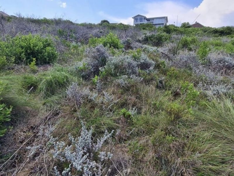Vacant Land Residential For Sale in Dana Bay - Photo 3