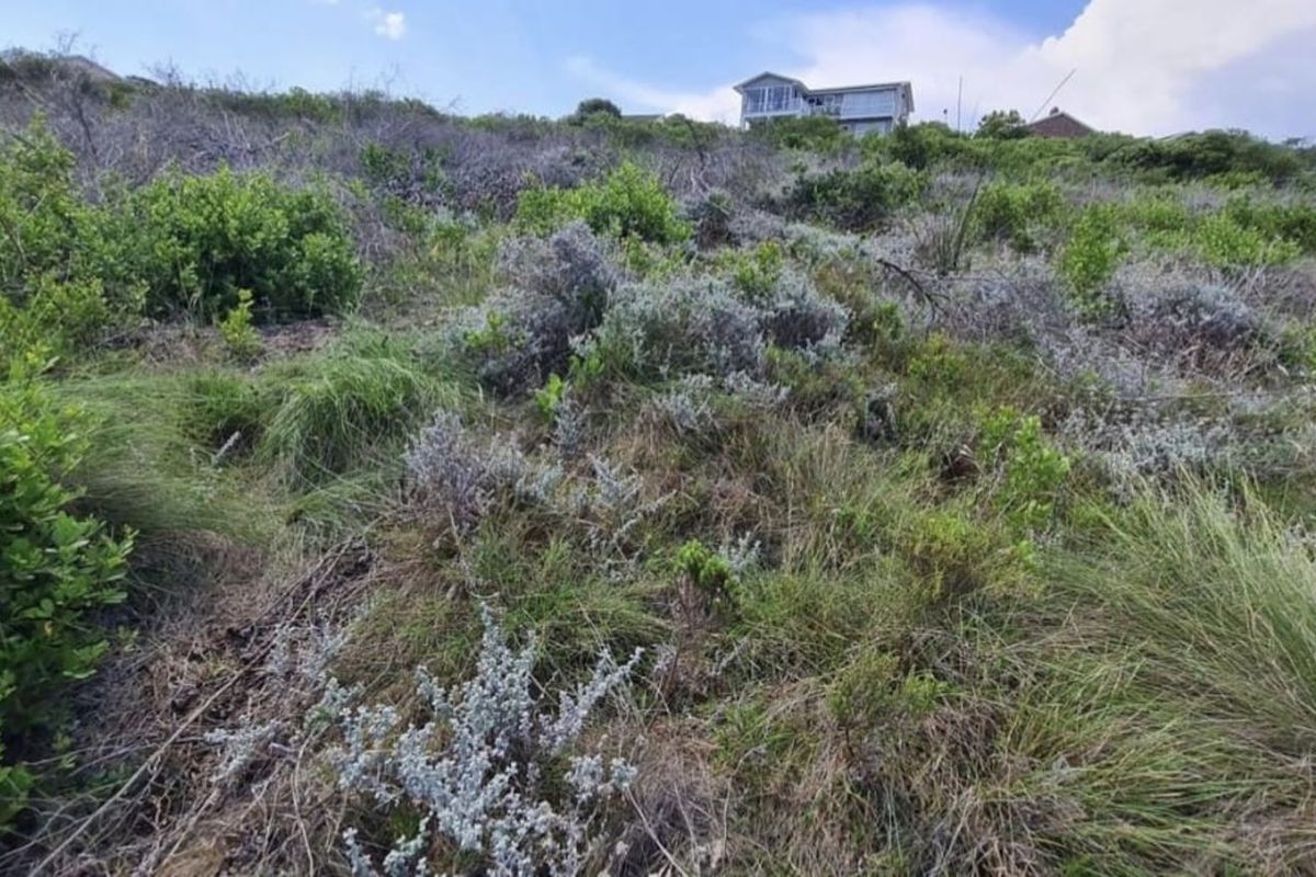 Vacant Land Residential For Sale in Dana Bay - Photo 3