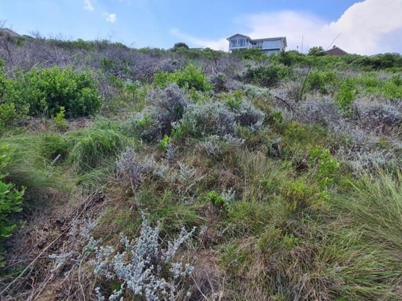 Vacant Land Residential For Sale in Dana Bay - Photo 6