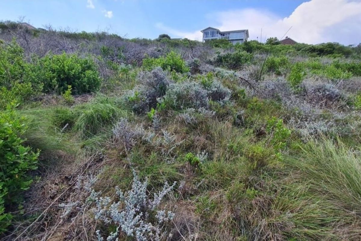 A view of the sloped, undeveloped residential land featuring natural coastal vegetation and scrub, with neighboring properties visible in the distance.