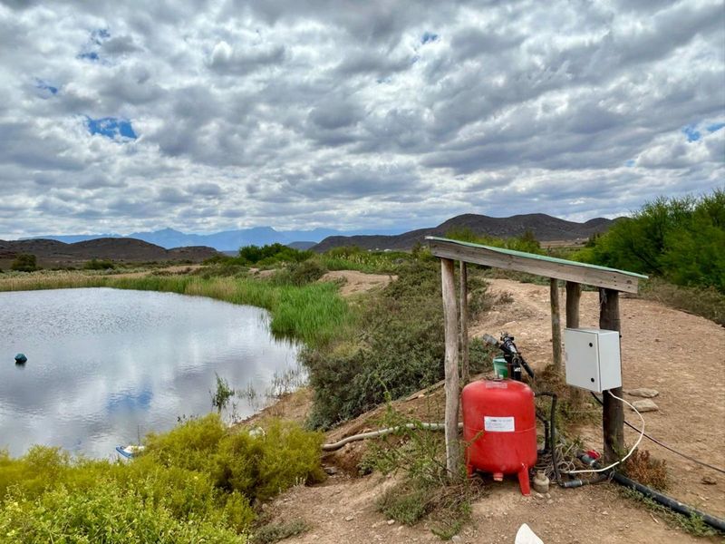 Farm For Sale in Ladismith Rural - Photo 10