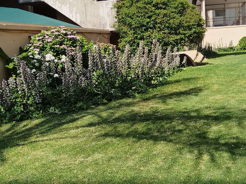 Apartment For Sale in Parktown - Photo 4