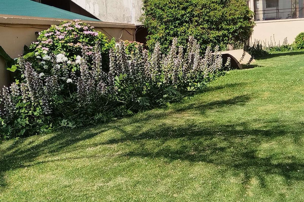 Apartment For Sale in Parktown - Photo 4