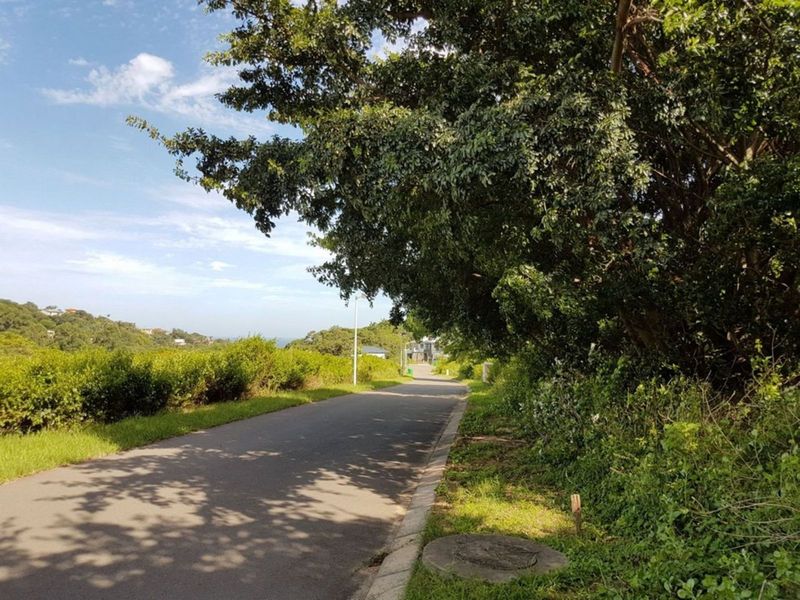 Vacant Land Residential For Sale in New Salt Rock City - Photo 4