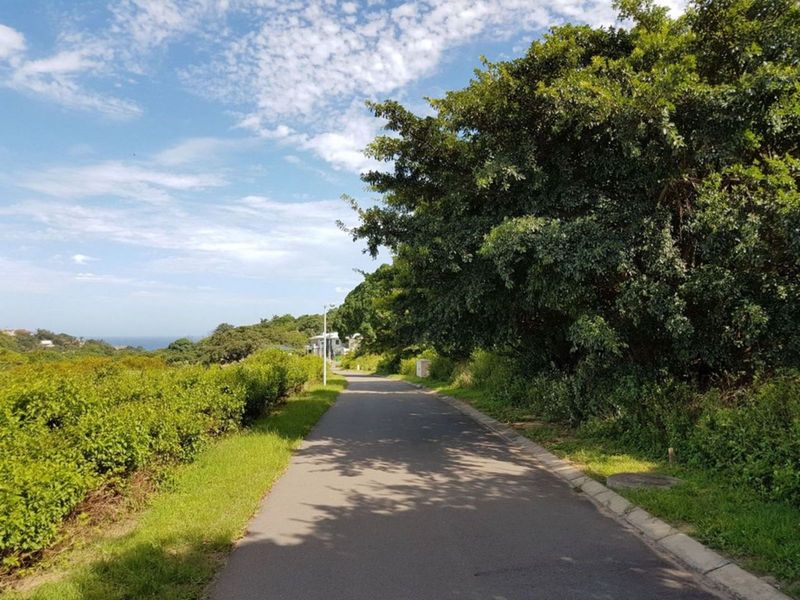 Vacant Land Residential For Sale in New Salt Rock City - Photo 3