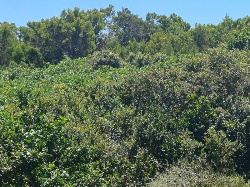 Vacant Land Residential For Sale in St Francis On Sea Phase I - Photo 6