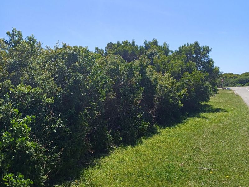 Vacant Land Residential For Sale in St Francis On Sea Phase I - Photo 4