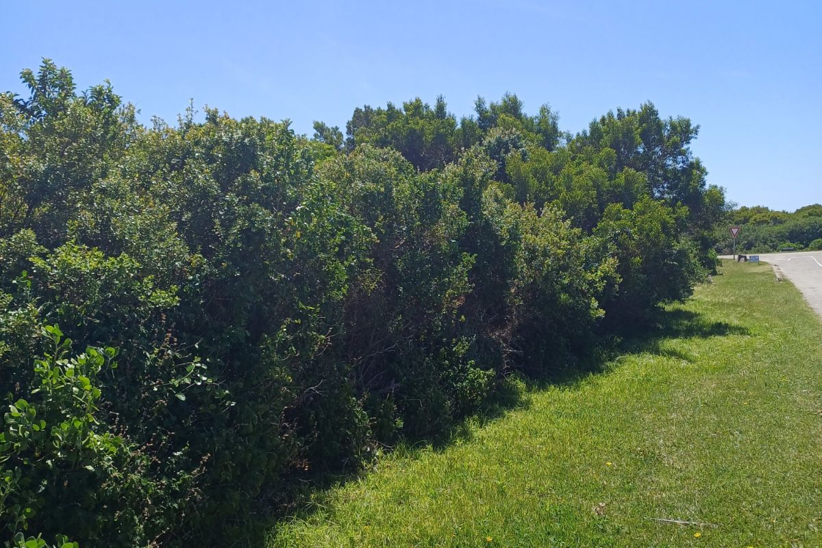 Vacant Land Residential For Sale in St Francis On Sea Phase I - Photo 4