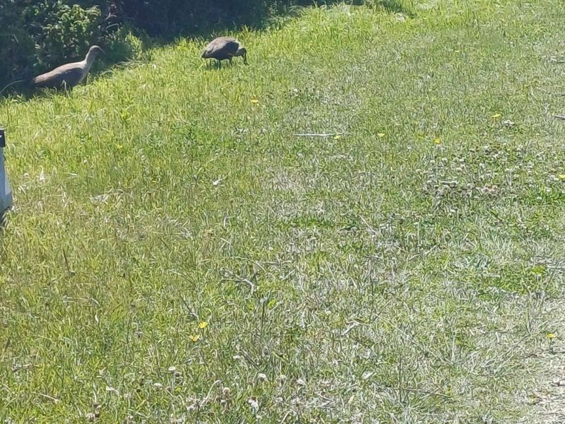 Vacant Land Residential For Sale in St Francis On Sea Phase I - Photo 5