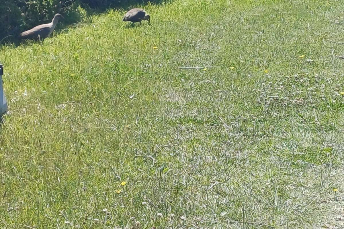 Vacant Land Residential For Sale in St Francis On Sea Phase I - Photo 5