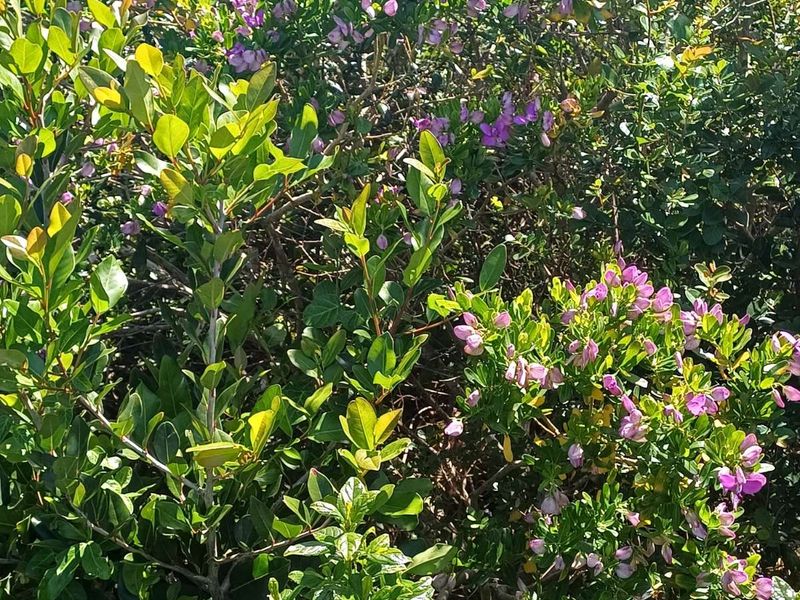 Vacant Land Residential For Sale in St Francis On Sea Phase I - Photo 10