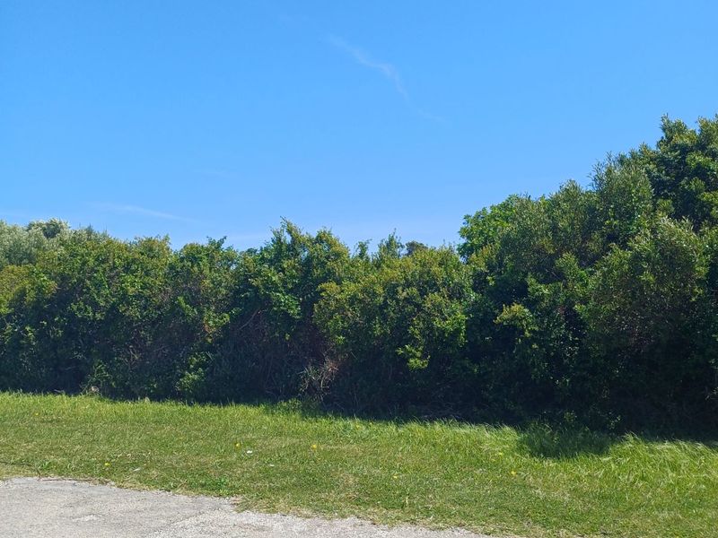 Vacant Land Residential For Sale in St Francis On Sea Phase I - Photo 8